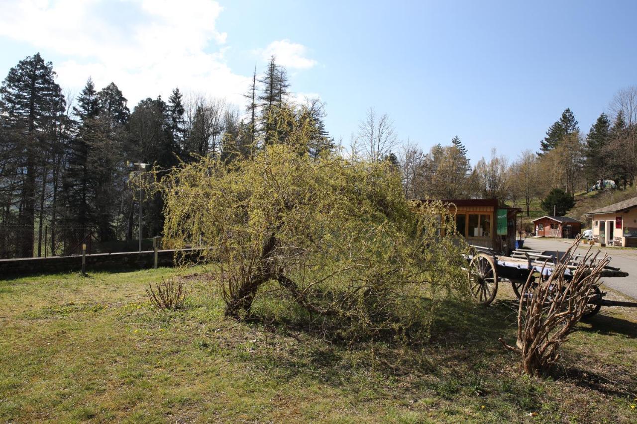Вилла Le Veymont Saint-Martin-en-Vercors Экстерьер фото